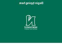 PowerPoint - N Logo (Green)