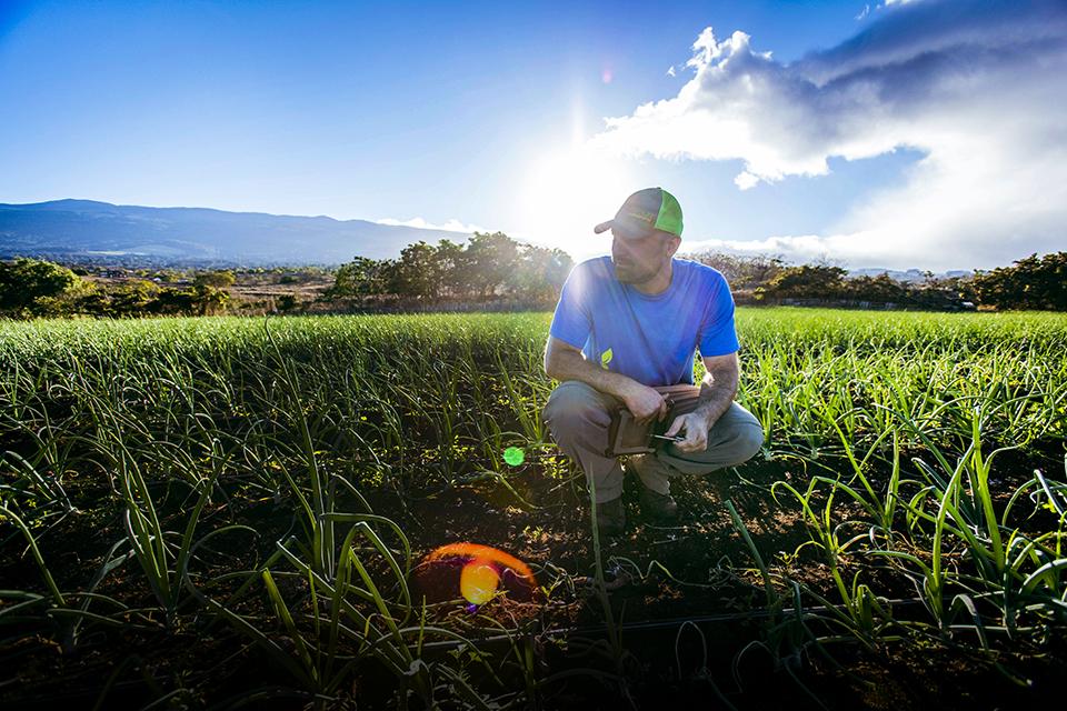 With precision: Shyloh Stafford-Jones has taken his agriculture knowledge to Hawaii