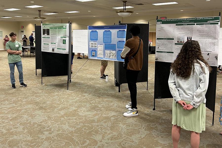 Poster presentations focused on topic related to computer science and information systems, biology, history and psychology.