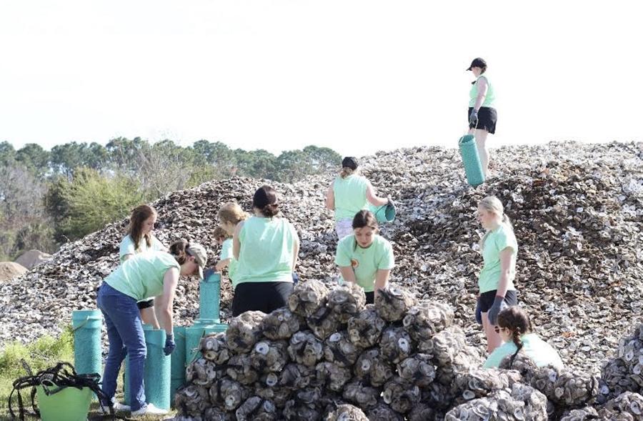 Northwest's Alternative Spring Break student organization traveled 3月 to Rosemary Beach, 佛罗里达, where their work included bagging oyster shells as part of a reef reforestation project. (提交的图)